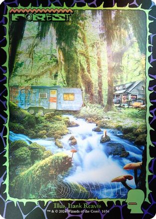 FOIL Forest (1656) (Rainbow Foil) (SLD-1656) - Secret Lair Drop Series - Magic The Gathering