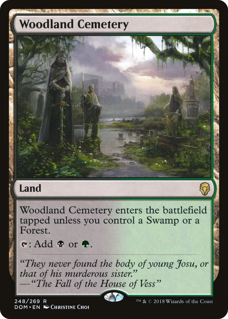 FOIL Woodland Cemetery (DOM-248) - Dominaria - Magic The Gathering